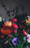 6 Tipps, damit Blumen in der Vase lange frisch bleiben